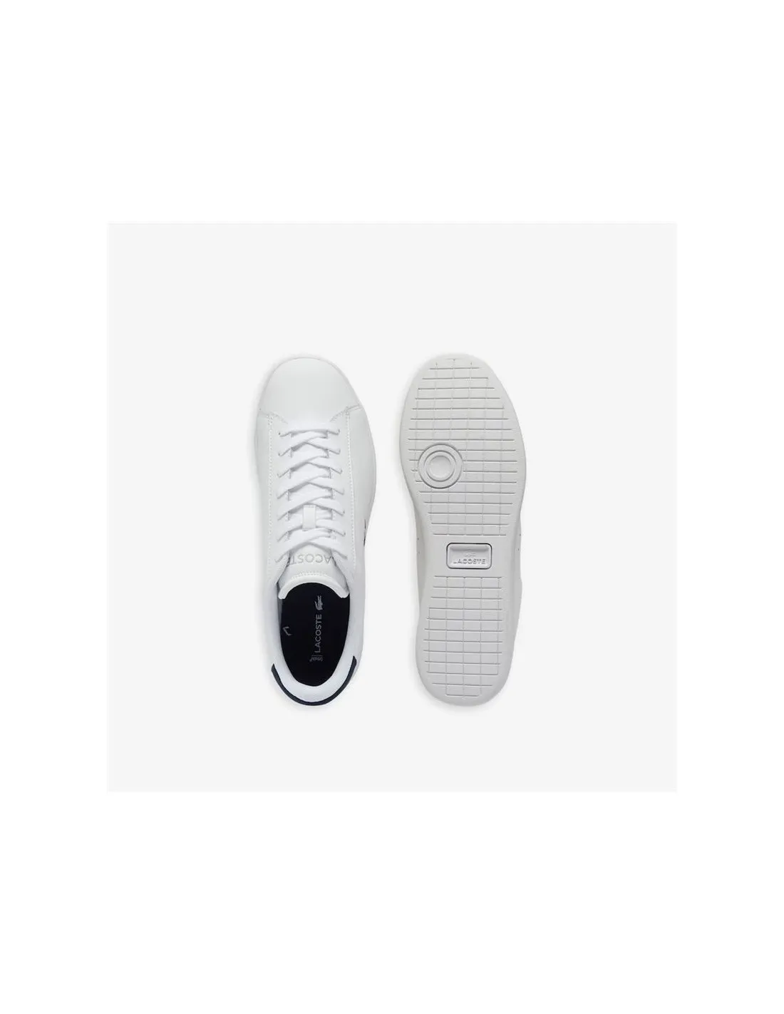 Chaussures Lacoste Set Carnaby 224 7 Homme