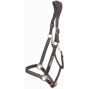 Licol doublure Cuir Avec Plaque Têtière Anatomique T de T