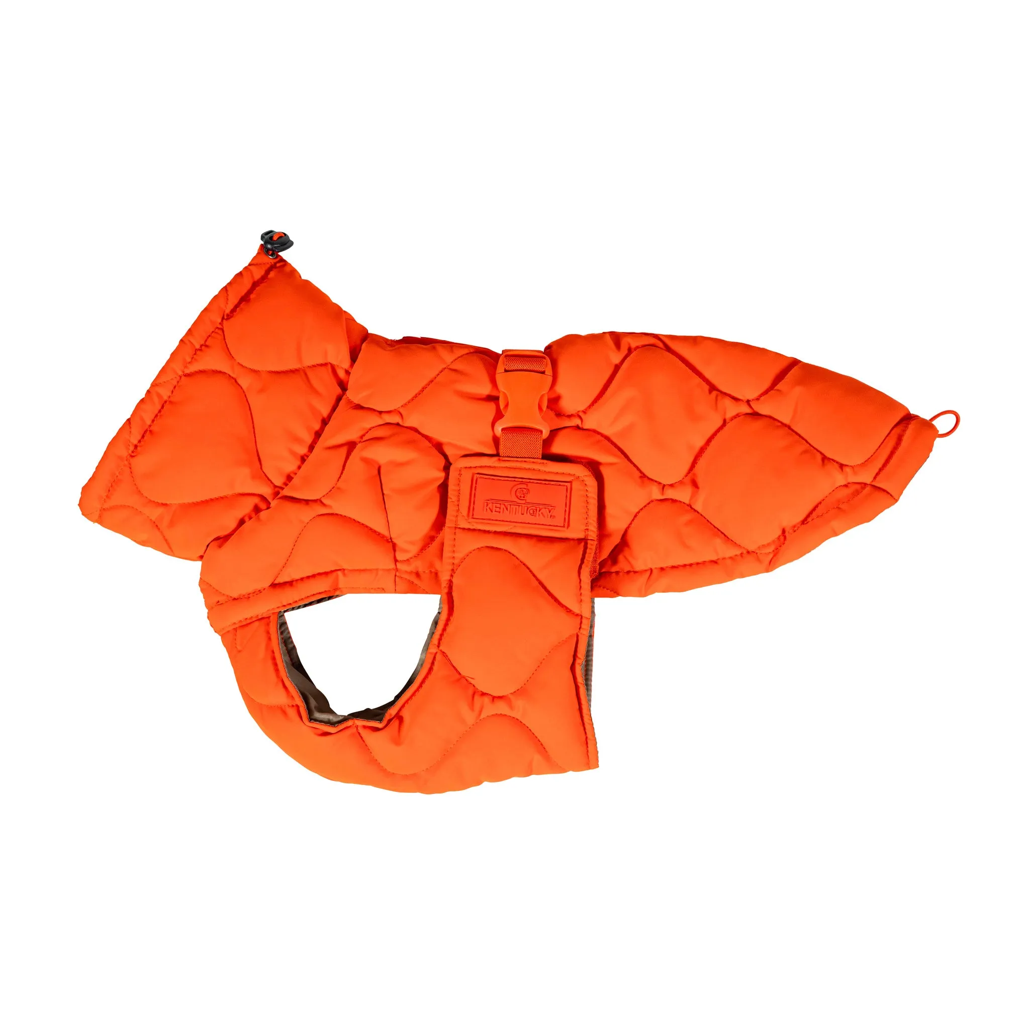 Manteau d'hiver pour chien Pina - Kentucky