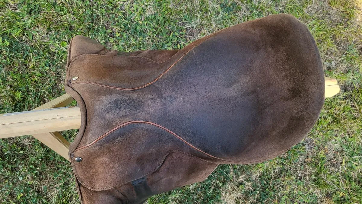 Selle dessus daim Phoenix (Toulouse)